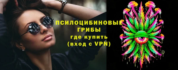 трава Слюдянка