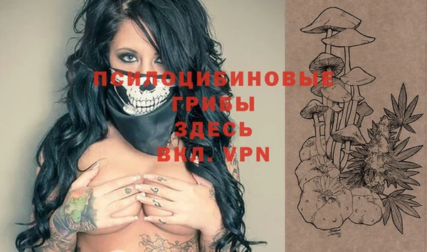 трава Слюдянка