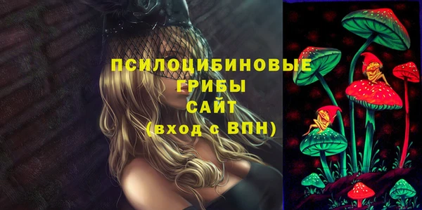 стафф Снежинск