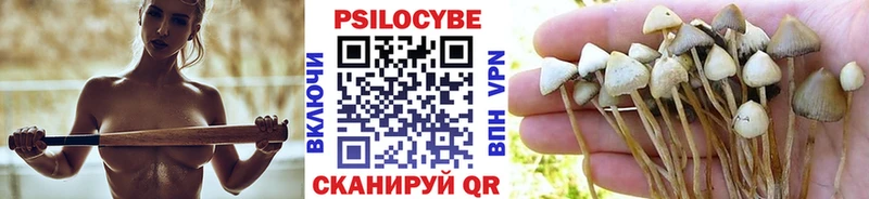 Купить закладки  Череповец  Галлюциногенные грибы Psilocybine cubensis
